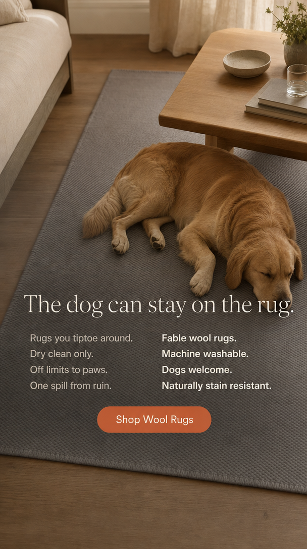 08. The dog can stay on the rug
